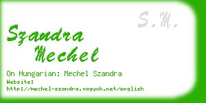 szandra mechel business card